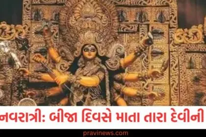 ગુપ્ત નવરાત્રીના બીજા દિવસે માતા તારા દેવીની પૂજા કરવામાં આવે છે, જાણો તેમની કથા https://www.pravinews.com/tag/%e0%aa%97%e0%ab%81%e0%aa%aa%e0%ab%8d%e0%aa%a4