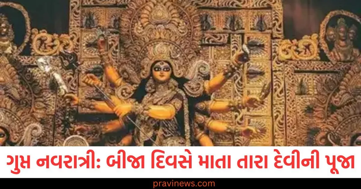 ગુપ્ત નવરાત્રીના બીજા દિવસે માતા તારા દેવીની પૂજા કરવામાં આવે છે, જાણો તેમની કથા https://www.pravinews.com/religion/astrology/mahashivratri-2025-shubh-yog-lord-shiva-family-pooja-know-shiv-parivar-ki-puja-vidhi-98109