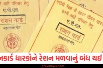 રેશનકાર્ડ ધારકોને રેશન મળવાનું બંધ થઈ જશે, આ તારીખ સુધીમાં આ કામ પૂર્ણ કરો https://www.pravinews.com/government-news/year-ender-2024-top-government-schemes-started-in-year-78141