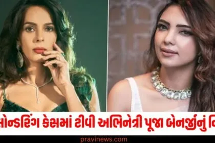 મની લોન્ડરિંગ કેસમાં ટીવી અભિનેત્રી પૂજા બેનર્જીનું નિવેદન, આરોપો અંગે અભિનેત્રીએ શું કહ્યું https://www.pravinews.com/technology/tech-news