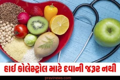 હાઈ કોલેસ્ટ્રોલ માટે દવાની જરૂર નથી, આ કુદરતી પદ્ધતિઓથી મેળવો રાહત https://www.pravinews.com/tag/%e0%aa%95%e0%ab%8b%e0%aa%b2%e0%ab%87%e0%aa%b8%e0%ab%8d%e0%aa%9f%e0%ab%8d%e0%aa%b0%e0%ab%8b%e0%aa%b2