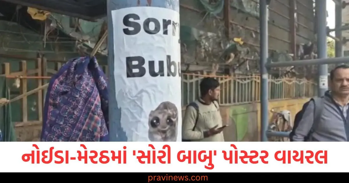 નોઈડા-મેરઠમાં વિવિધ સ્થળોએ લગાવવામાં આવેલા 'સોરી બાબુ' પોસ્ટર વાયરલ, લોકો તેમજ પોલીસ પણ આશ્ચર્યચકિત https://www.pravinews.com/government-news/ration-card-holders-will-stop-getting-ration-complete-this-work-by-this-date-98025