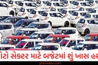 ઓટો સેક્ટર માટે બજેટમાં શું ખાસ હશે? વિગતવાર જાણો https://www.pravinews.com/business/budget/google-chrome-ai-tool-for-scam-websites-how-to-use-2-77196