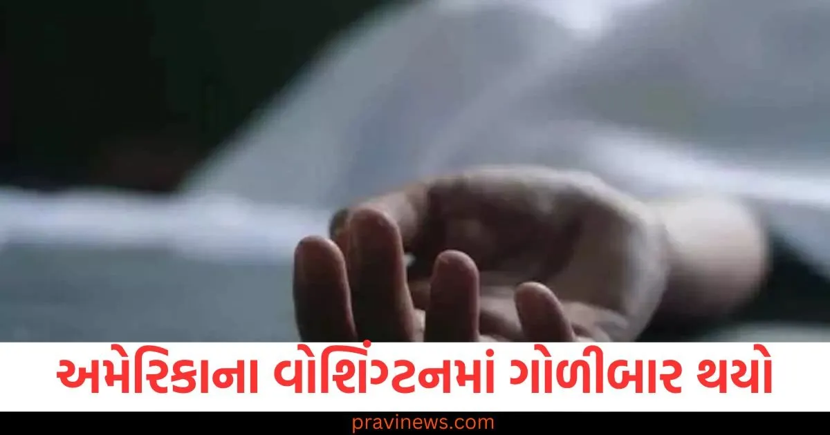 અમેરિકાના વોશિંગ્ટનમાં ગોળીબાર થયો, હૈદરાબાદના એક યુવકને ગોળી વાગી https://www.pravinews.com/business/laxmi-dental-shares-list-at-27-premium-over-ipo-price-at-542-rupees-per-share-on-nse-92374