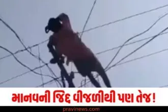 માનવની જિદ્દ વીજળીથી પણ તેજ! નારાજ માણસે ચડી ગયો વીજળીના થાંભલે, જુઓ સોશિયલ મીડિયામાં વાયરલ થયેલો આ દ્રશ્ય https://www.pravinews.com/top-news/indian-government-dot-india-warning-dont-pick-these-numbers-call-digital-arrest-scam-63128