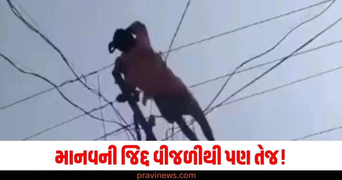 માનવની જિદ્દ વીજળીથી પણ તેજ! નારાજ માણસે ચડી ગયો વીજળીના થાંભલે, જુઓ સોશિયલ મીડિયામાં વાયરલ થયેલો આ દ્રશ્ય https://www.pravinews.com/top-news/page/2