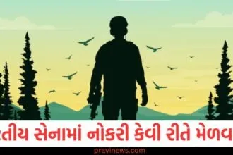 ભારતીય , કેવી રીતે મેળવવી, પરીક્ષાઓ, પાસ કરવી,