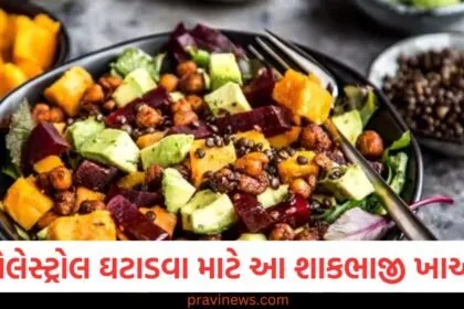 શિયાળામાં કોલેસ્ટ્રોલ ઘટાડવા માટે આ શાકભાજી ખાઓ, ડાયેટિશિયને ફાયદાઓ જણાવ્યા https://www.pravinews.com/tag/%e0%aa%b6%e0%aa%bf%e0%aa%af%e0%aa%be%e0%aa%b3%e0%aa%be