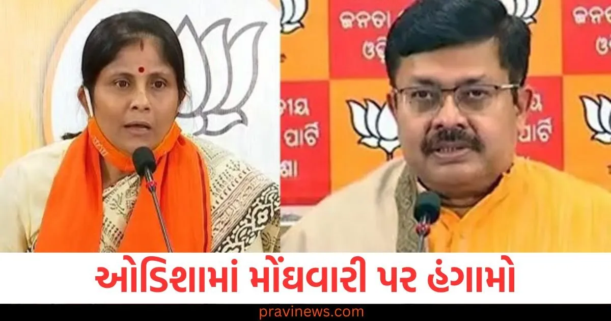 ઓડિશામાં મોંઘવારી પર હંગામો, બીજડ એ કેન્દ્ર સરકારને ઘેરી https://www.pravinews.com/photos