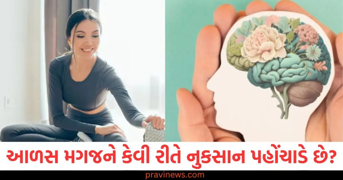 આળસ મગજને કેવી રીતે નુકસાન પહોંચાડે છે? સંશોધનમાં થયો મોટો ખુલાસો https://www.pravinews.com/international-news/egg-prices-hiking-in-us-due-to-lack-of-hens-democrats-blame-donald-trump-95076