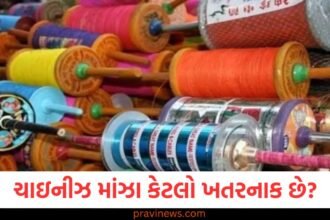 ચાઇનીઝ માંઝા કેટલો ખતરનાક છે? તેનો ઉપયોગ અને વેચાણ કરનારા પર થશે આ કાર્યવાહી! https://www.pravinews.com/trending/viral-news/everyone-must-have-seen-the-wedding-mehndi-now-see-the-divorce-mehndi-too-the-photo-has-gone-viral-123774