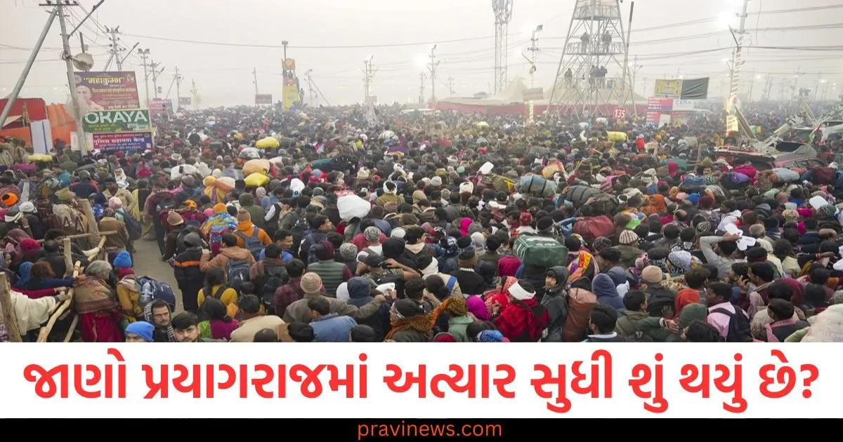 મહાકુંભમાં થયેલી ભાગદોડથી લઈને બીજા દિવસે બદલાતી પરિસ્થિતિ સુધી, જાણો પ્રયાગરાજમાં અત્યાર સુધી શું થયું છે? https://www.pravinews.com/world-news-in-gujarati/punjab-national-bank-minimum-balance-limit-in-savings-account-pnb-fd-rates-98196