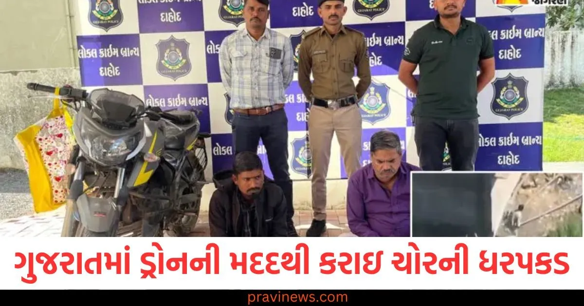 ગુજરાતમાં ડ્રોનની મદદથી કરાઇ ચોરની ધરપકડ, ટીમે 1 કિમી દોડ્યા પછી પકડ્યો ચોર https://www.pravinews.com/business/will-the-price-of-gold-jump-after-budget-2025-this-fear-is-haunting-the-bullion-market-97252