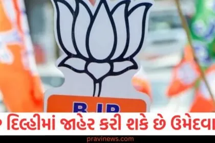 BJP આ ફોર્મ્યુલાનો ઉપયોગ કરીને દિલ્હીમાં તેના ઉમેદવારો નક્કી કરશે, પ્રથમ યાદી ટૂંક સમયમાં આવશે https://www.pravinews.com/tag/bjp