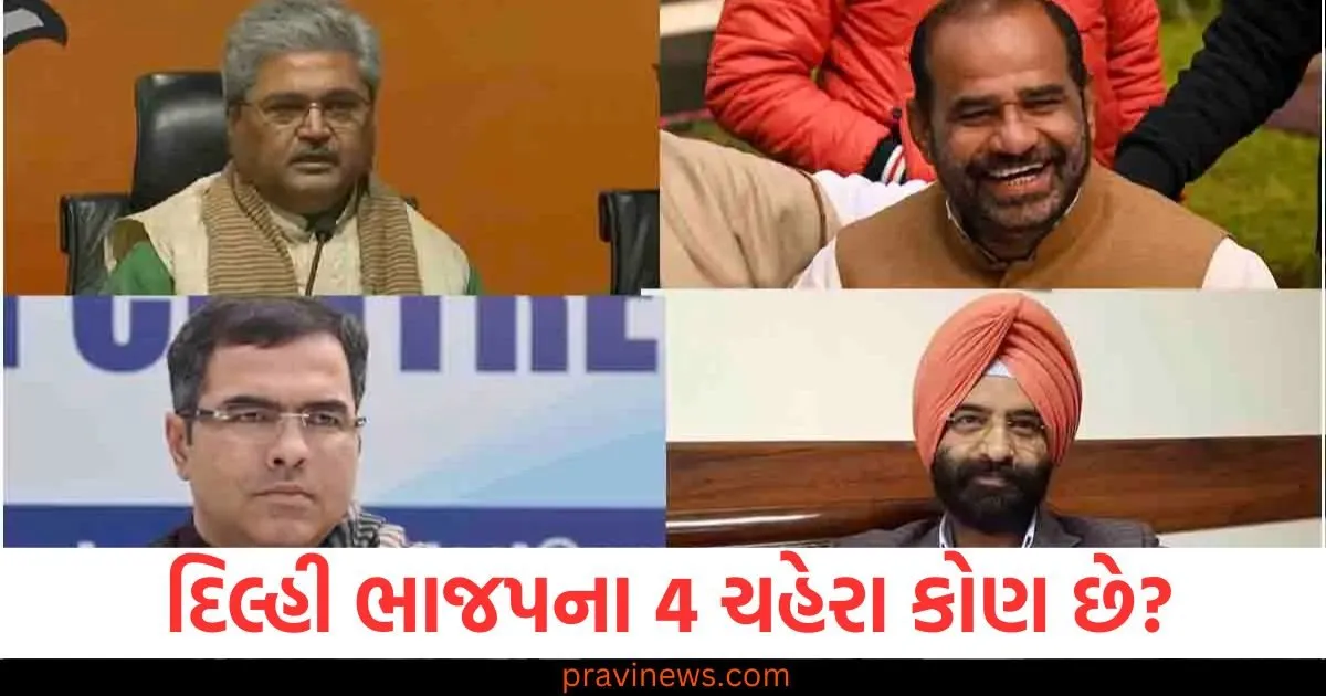 દિલ્હી ભાજપના 4 ચહેરા કોણ છે? જે ચૂંટણીમાં AAPના દિગ્ગજ નેતાઓને ટક્કર આપશે https://www.pravinews.com/world-news-in-gujarati/politics-of-muslim-appeasement-in-bihar-who-is-destroying-national-unity-in-seemanchal-82989