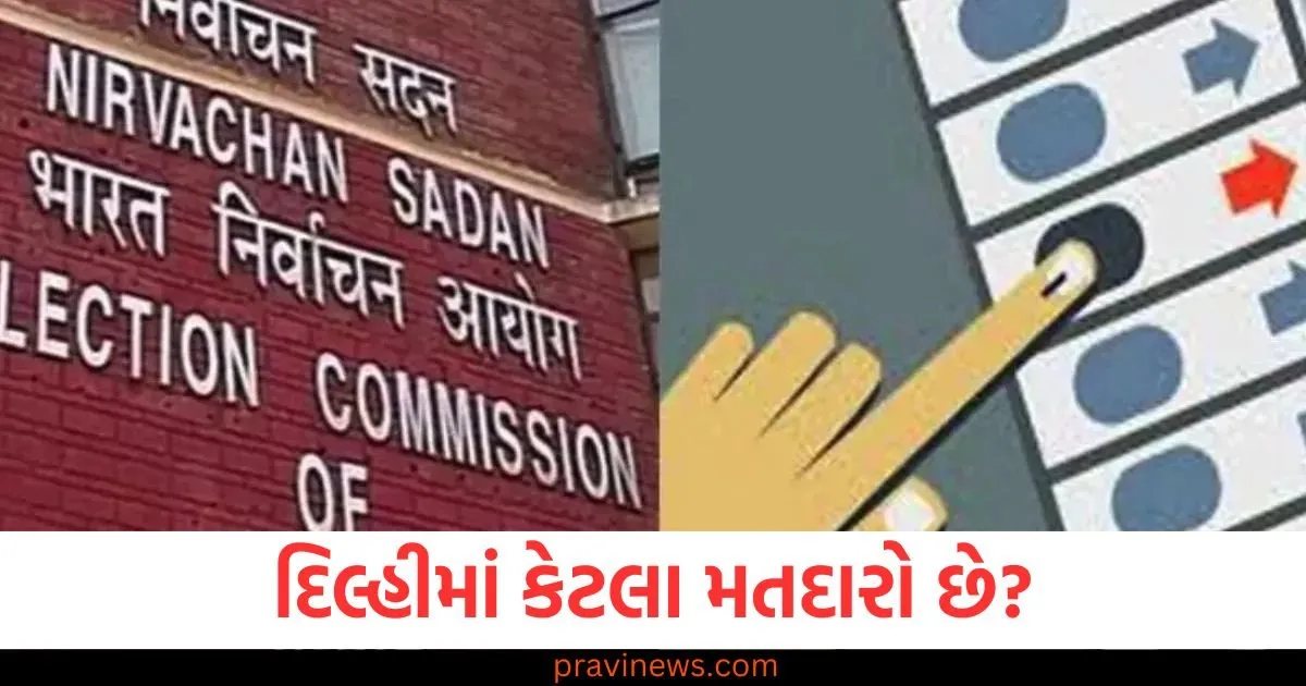 દિલ્હીમાં કેટલા મતદારો છે? જાહેર થઈ આખરી મતદાર યાદી https://www.pravinews.com/world-news-in-gujarati/cm-atishi-will-be-arrested-cbi-raid-at-manish-sisodia-house-arvind-kejriwal-big-claim-before-delhi-assembly-elections-84621