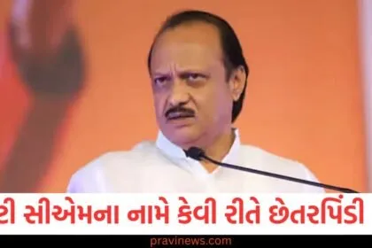 ડેપ્યુટી સીએમ, ચાલાક માણસ, છેતરપિંડી, છેતરપિંડી કરનાર, ધરપકડ,