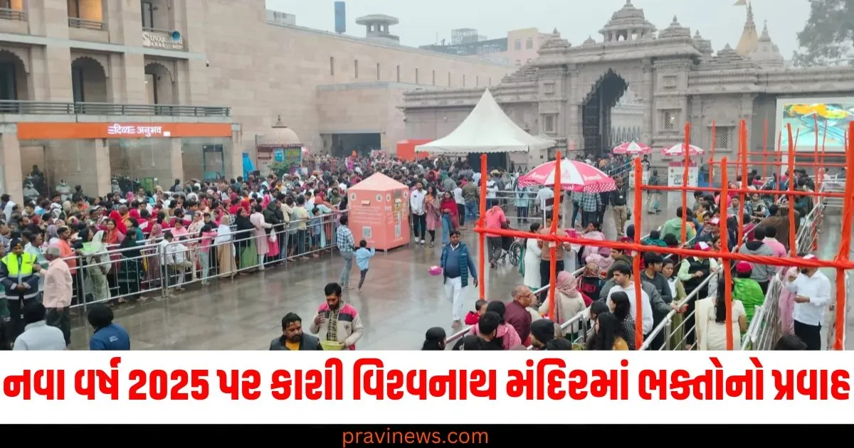 નવા વર્ષ 2025 પર કાશી વિશ્વનાથ મંદિરમાં ભક્તોનો પ્રવાહ, 2024માં 6 કરોડ લોકોએ બાબાના દર્શન કર્યા https://www.pravinews.com/religion/astrology/aries-horoscope-2025-mesh-varshik-rashifal-2025-how-will-the-year-2025-be-for-aries-people-know-the-predictions-for-the-year-2025-81332