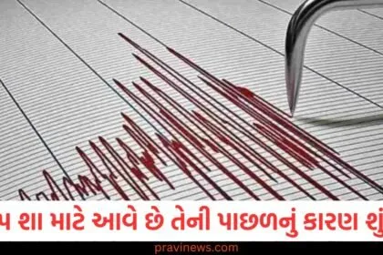 ભૂકંપ, (Earthquake), કારણ, (Cause), ભૂગર્ભ, ગતિશીલતા, (Tectonic activity), પ્લેટ્સનું, ગતિકરણ, (Plate movements), ભૂકંપનું, કેન્દ્ર, (Epicenter),