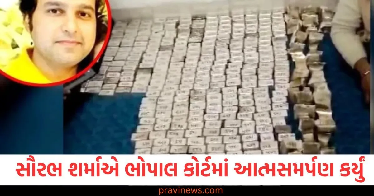 મધ્યપ્રદેશમાં સૌરભ શર્માએ ભોપાલ કોર્ટમાં આત્મસમર્પણ કર્યું, IT, ED અને લોકાયુક્તના દરોડા પછીથી ફરાર હતો https://www.pravinews.com/world-news-in-gujarati/chhatishgarh-durg-accused-of-cheating-college-junior-woman-in-name-of-bitcoin-investment-arrested-95781