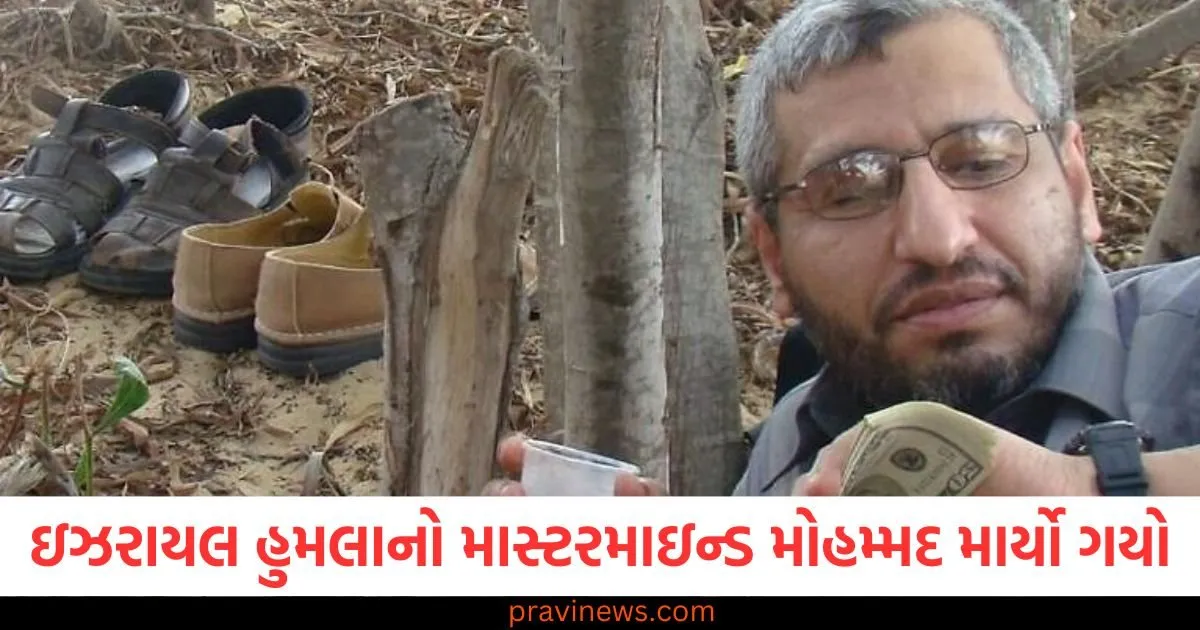 ઇઝરાયલ હુમલાનો માસ્ટરમાઇન્ડ મોહમ્મદ દેઇફ માર્યો ગયો , હમાસે પહેલી વાર પુષ્ટિ કરી https://www.pravinews.com/world-news-in-gujarati/airplane-crash-video-washington-dc-here-all-97850