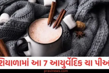 શિયાળામાં આયુર્વેદિક ચા, 7 ચા રેસીપી, આયુર્વેદિક ફાયદા, શરીર માટે ફાયદા, પ્રાકૃતિક ચા,