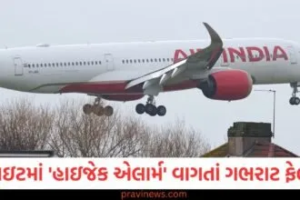 એર ઇન્ડિયાની ફ્લાઇટમાં 'હાઇજેક એલાર્મ' વાગતાં ગભરાટ ફેલાયો, એરપોર્ટ પર NSG તૈનાત https://www.pravinews.com/technology/gadgets-news/power-banks-are-not-allowed-in-flight-check-in-luggage-it-is-important-to-know-these-rules-103455