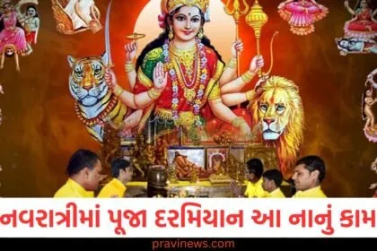 ગુપ્ત નવરાત્રીમાં પૂજા દરમિયાન આ નાનું કામ કરો, તમારું નસીબ ચમકશે! https://www.pravinews.com/tag/%e0%aa%97%e0%ab%81%e0%aa%aa%e0%ab%8d%e0%aa%a4