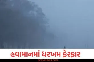હવામાનમાં ધરખમ ફેરફાર , 25-26 જાન્યુઆરીએ આ રાજ્યમાં વરસાદ પડશે https://www.pravinews.com/flashback-2024/upi-achieves-15-547-crore-transactions-worth-rs-223-lakh-crore-from-january-to-november-70320