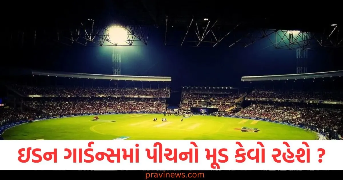 ઇડન ગાર્ડન્સમાં ચોગ્ગા અને છગ્ગાનો વરસાદ થશે કે બોલરો તબાહી મચાવશે , જાણો પીચનો મૂડ કેવો રહેશે ? https://www.pravinews.com/international-news/ghana-news-9-gold-miners-killed-army-in-probe-president-gave-orders-92458