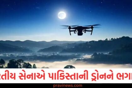ભારતીય સેના, પાકિસ્તાની ડ્રોન, ભગાડવું, ગોળીબાર, સેનાની કામગીરી,
