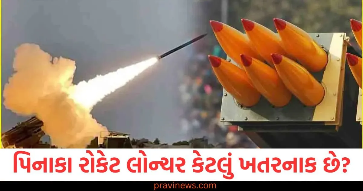 પિનાકા રોકેટ લોન્ચર, ખતરનાક હથિયાર, ભારતનો દારૂગોળો ખરીદ, ડિફેન્સ પ્રોજેક્ટ, પિનાકા લૉન્ચર વિધિ,