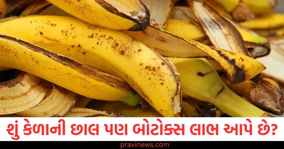 શું કેળાની છાલ પણ બોટોક્સ લાભ આપે છે? સત્ય જાણો https://www.pravinews.com/business/religare-money-laundering-big-update-executive-chairperson-rashmi-saluja-quizzed-by-ed-82499