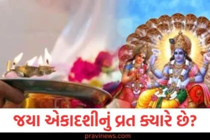 જયા એકાદશીનું વ્રત ક્યારે છે? જાણો તારીખ, પૂજા મુહૂર્ત અને પારણાનો સમય https://www.pravinews.com/tag/%e0%aa%8f%e0%aa%95%e0%aa%be%e0%aa%a6%e0%aa%b6%e0%ab%80