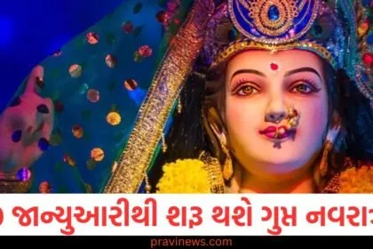 30 જાન્યુઆરી, ગુપ્ત નવરાત્રી, શરૂ, મહત્વ, ઉપાયો,