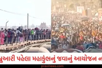 5 ફેબ્રુઆરી પહેલા મહાકુંભનું જવાનું આયોજન ન કરો, VIP મુલાકાતની માહિતી, 5 ફેબ્રુઆરી પહેલા મહાકુંભ ન જાવ, કયા VIP ક્યારે આવશે જાણો, 5 ફેબ્રુઆરીથી પહેલા મહાકુંભ યાત્રા ન કરો, VIP મુલાકાતો અને સમયની જાણકારી, 5 ફેબ્રુઆરી પહેલા મહાકુંભ ન જવાનો સૂચન, કયા VIP ક્યારે આવશે?,