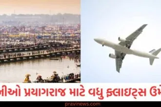 કંપનીઓ પ્રયાગરાજ માટે વધુ ફ્લાઇટ્સ ઉમેરશે, 23 શહેરો સાથે સીધી કનેક્ટિવિટી! https://www.pravinews.com/business/stock-market/this-companys-share-price-reached-a-52-week-low-panic-among-investors-100373