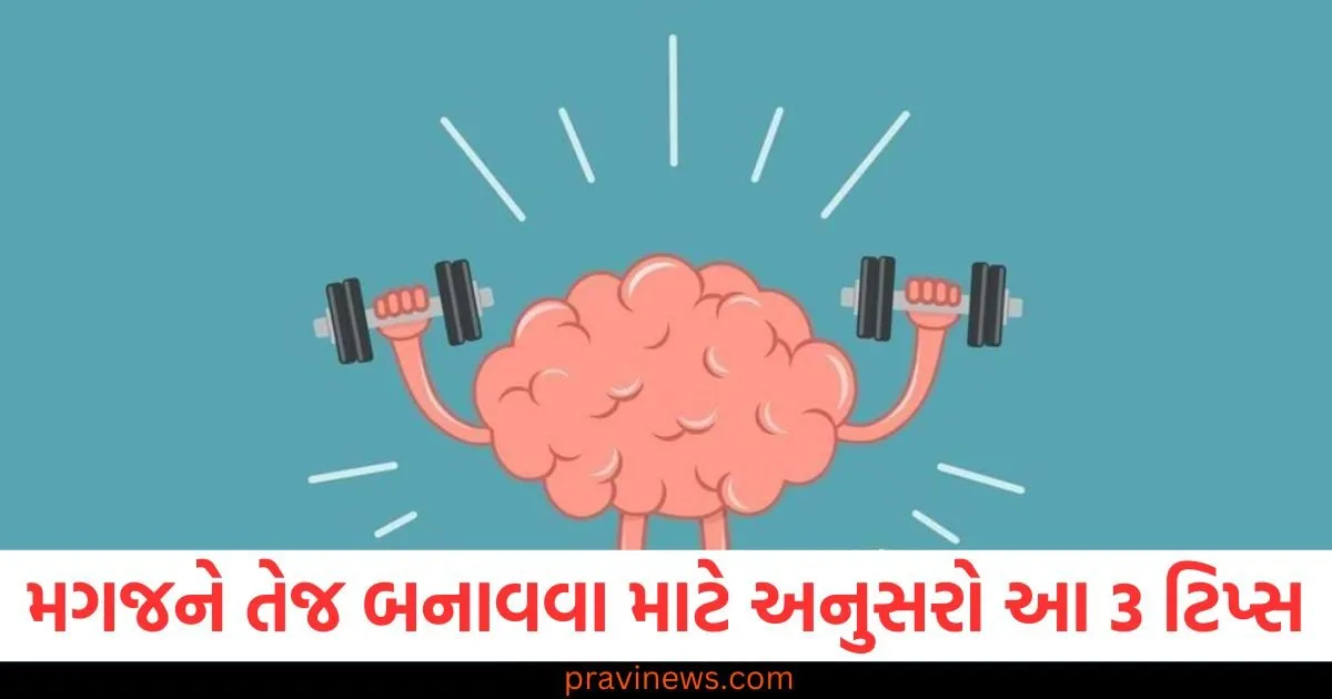 મગજને તેજ બનાવવા માટે અનુસરો આ 3 ટિપ્સ, તણાવ પણ દૂર રહેશે https://www.pravinews.com/government-news/central-board-of-secondary-education-cbse-recruitment-2025-apply-online-for-212-posts-cbse-gov-in-83022