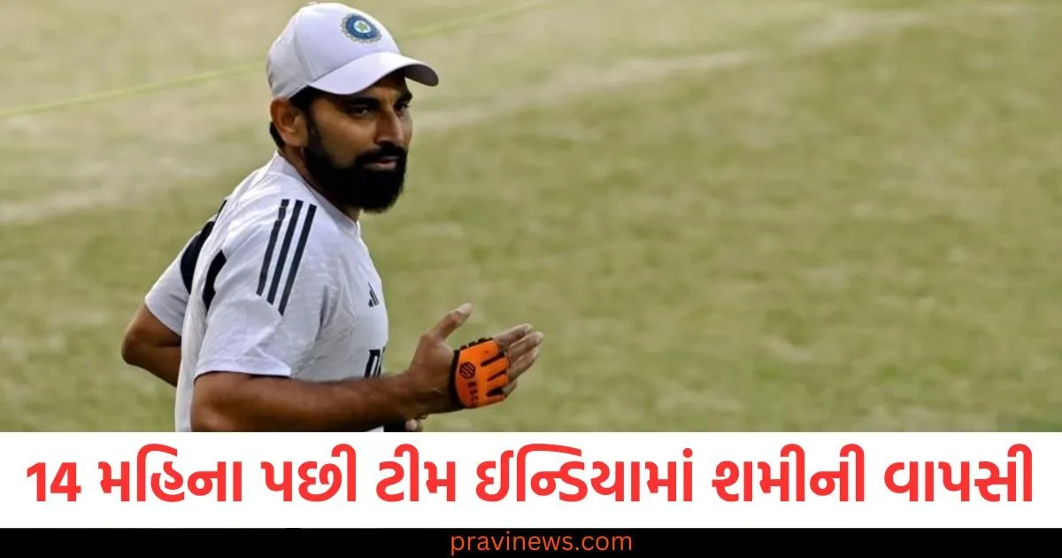 14 મહિના પછી ટીમ ઈન્ડિયામાં શમીની વાપસી, રાજકોટ T20માં મળી તક https://www.pravinews.com/world-news-in-gujarati/maha-kumbh-administration-issued-a-guideline-regarding-mauni-amavasya-96622