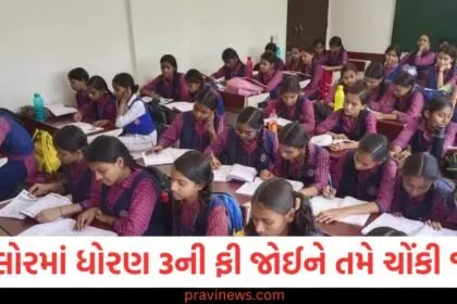 બેંગ્લોરમાં ધોરણ 3 ની ફી જોઈને તમે ચોંકી જશો, સોશિયલ મીડિયા પર પોસ્ટ વાયરલ થઈ https://www.pravinews.com/trending/viral-news