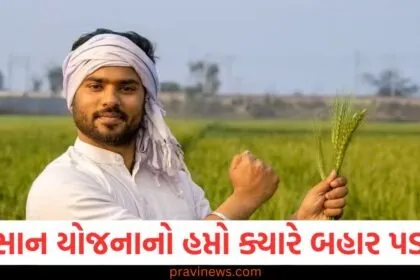 PM કિસાન યોજનાનો 19મો હપ્તો ક્યારે બહાર પડશે? શું ખેડૂત પતિ અને પત્ની બંનેને લાભ મળશે https://www.pravinews.com/government-news