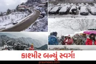 કાશ્મીર, (Kashmir), સ્વર્ગ, (Paradise), પ્રયાણીઓ, (Tourists), બરફીલા વાતાવરણ, (Snowy weather),