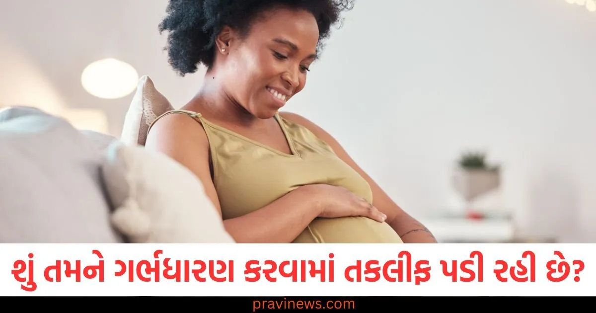 શું તમને ગર્ભધારણ કરવામાં તકલીફ પડી રહી છે? તમારા આહાર સાથે આ 3 કસરતો કરો https://www.pravinews.com/technology/gadgets-news/oneplus-open-2-worlds-thinnest-foldable-phone-leaked-features-and-first-look-92272