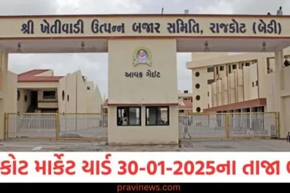 રાજકોટ માર્કેટ યાર્ડ આજના ભાવ | Rajkot APMC Market Price Today 30-01-2025 https://www.pravinews.com/tag/%e0%aa%b0%e0%aa%be%e0%aa%9c%e0%aa%95%e0%ab%8b%e0%aa%9f