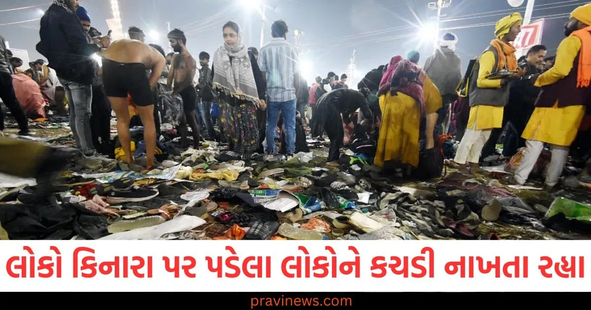 લોકો કિનારા પર પડેલા લોકોને કચડી નાખતા રહ્યા, જાણો એક પ્રત્યક્ષદર્શીએ કહેલી આખી વાત https://www.pravinews.com/world-news-in-gujarati/how-much-zepto-blinkit-instamart-delivery-boy-earn-per-order-complains-incentives-what-is-items-lost-insurance-tips-pvpw-dskc-97588