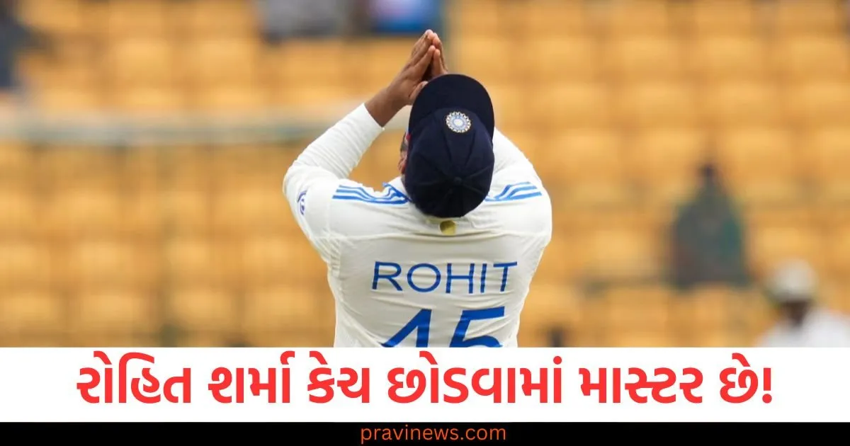 રોહિત શર્મા કેચ છોડવામાં માસ્ટર છે! , જાણો અન્ય ખેલાડીઓની શું હાલત છે https://www.pravinews.com/entertainment/bollywood-allu-arjun-meets-sanjay-leela-bhansali-might-be-they-make-a-movie-together-know-reason-87381