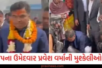 ભાજપના ઉમેદવાર પ્રવેશ વર્માની મુશ્કેલીઓ વધી, જૂતા વહેંચવાના કેસમાં FIR દાખલ https://www.pravinews.com/tag/fir