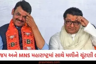 શું ભાજપ અને MNS મહારાષ્ટ્રમાં સાથે મળીને ચૂંટણી લડશે? MNS નેતાના નિવેદનને કારણે અટકળોએ જોર પકડ્યું https://www.pravinews.com/assembly-elections-maharashtra/exit-polls-shows-bjp-alliance-big-win-in-maharashtra-jharkhand-see-all-updates-58256