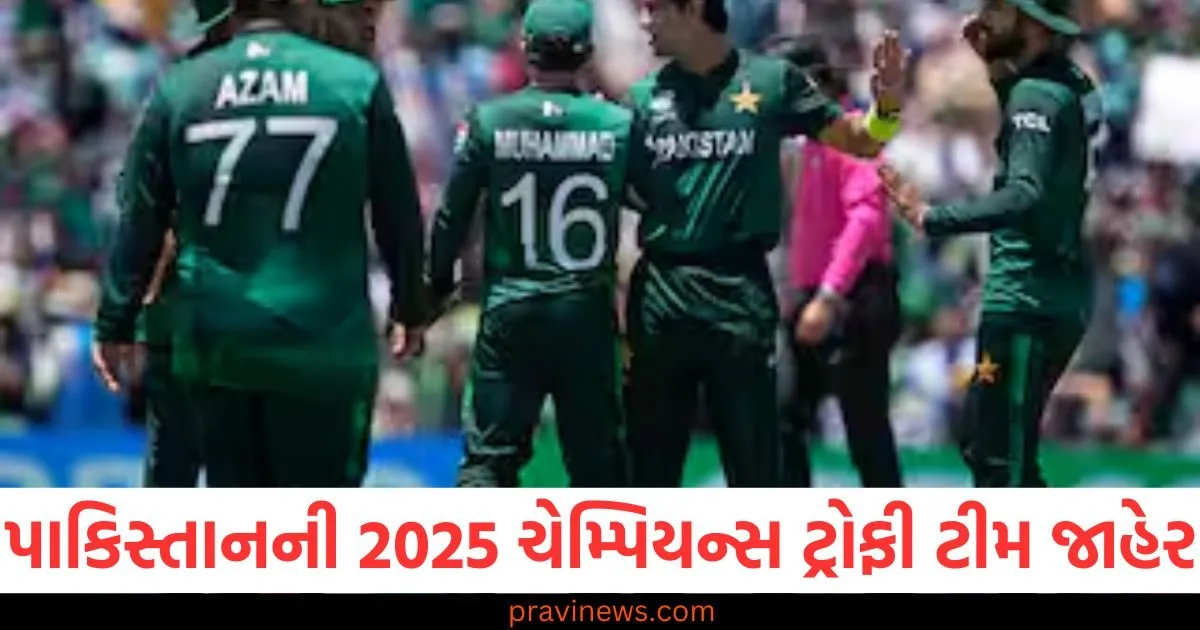 પાકિસ્તાનની 2025 ચેમ્પિયન્સ ટ્રોફી ટીમ જાહેર , આ 15 ખેલાડીઓને મળી તક https://www.pravinews.com/business/biz-budget-2025-middle-class-may-get-big-income-tax-relief-pm-modi-hints-98254