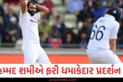 મોહમ્મદ શમીએ ફરી ધમાકેદાર પ્રદર્શન કર્યું, આ ખેલાડીએ પણ બતાવ્યું અદ્ભુત રમત https://www.pravinews.com/tag/%e0%aa%ae%e0%ab%8b%e0%aa%b9%e0%aa%ae%e0%ab%8d%e0%aa%ae%e0%aa%a6